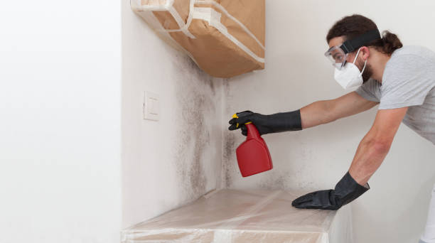 Professional Mold Testing technician working in Lake Ann, MI