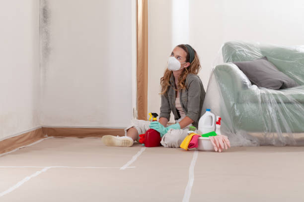 Reliable Mold Testing contractor in Lake Ann, MI by WQB Mold Removal