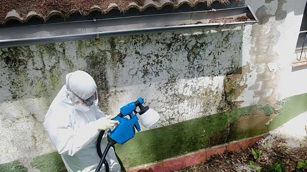 Top rated local Mold Testing specialists in Lake Ann, MI